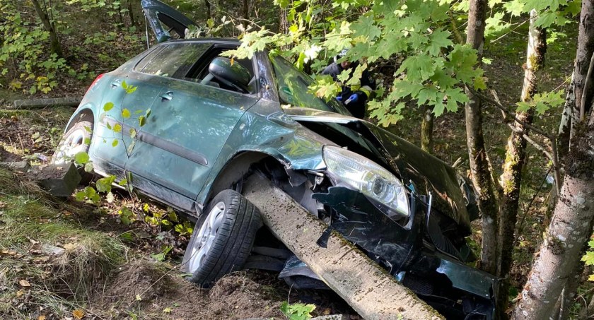 71-latek skodą skasował drzewo i słup - trafił do szpitala