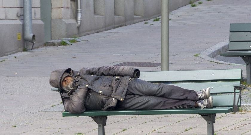Dla nich mróz jest śmiertelnym zagrożeniem! Reaguj! 