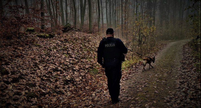 Nocne poszukiwania 45-latki. Znalezioną ją w lesie