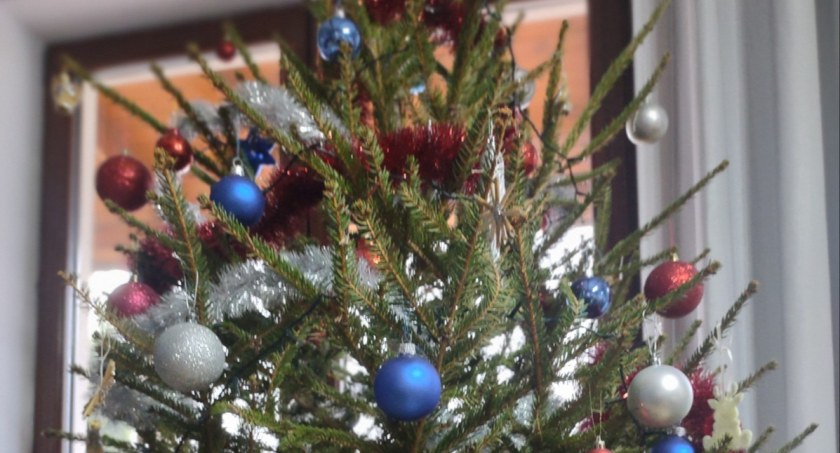 Nie wyrzucaj choinki do śmieci. Oddaj ją do spalenia