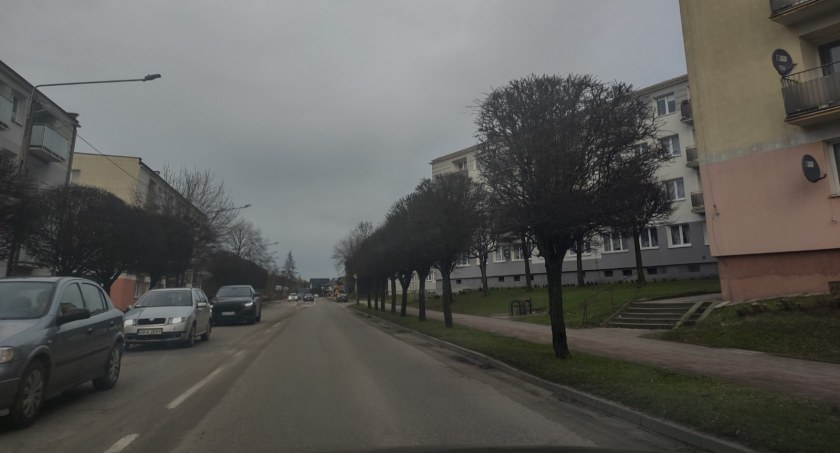 Wycięli krzewy i zasadzili nowe. Część mieszkańców Kościerzyny oburzona