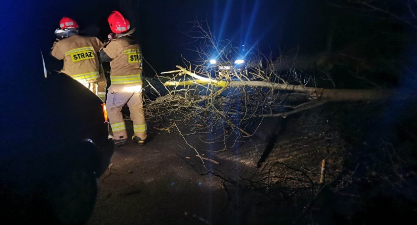 Ponad 50 strażackich interwencji w związku z orkanem Otoo