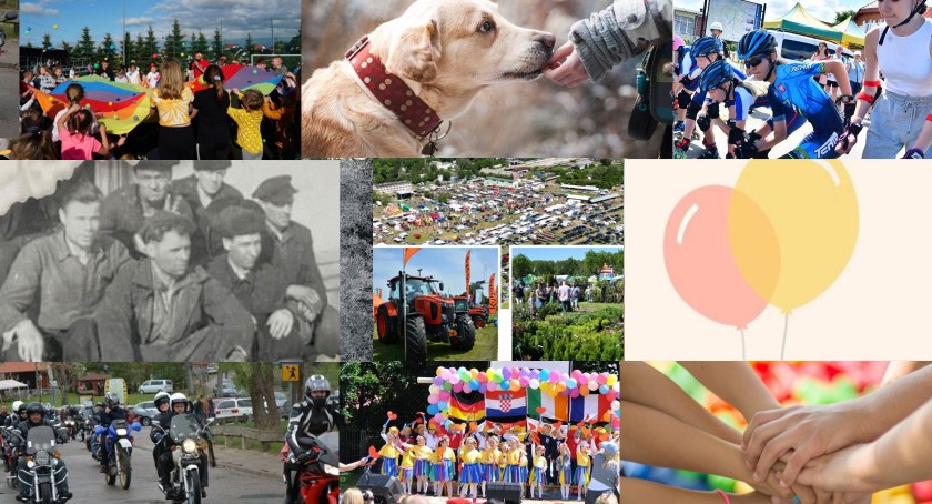Weekend z festynami rodzinnymi, targami w Lubaniu, czy zawodami psów