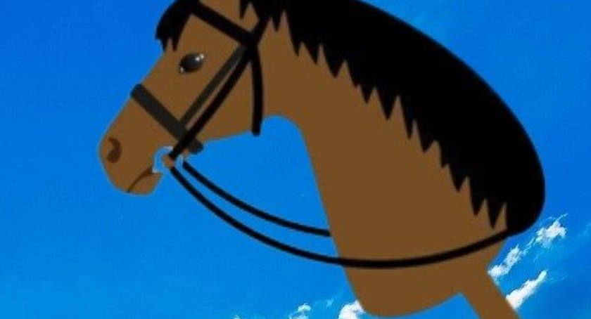 I Mistrzostwa Kaszub - Hobby Horse Dziemiany 2023