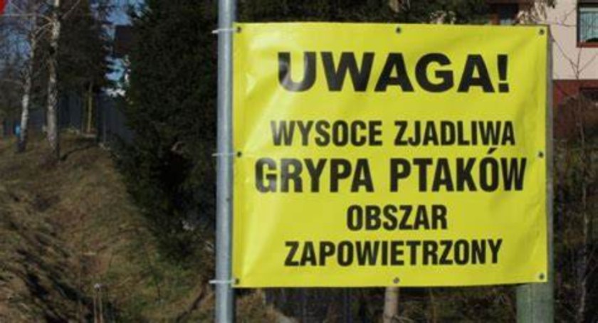 Groźnie wyglądające żółte znaki - 