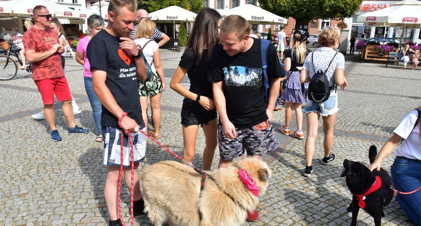 Fantastyczna akcja kościerskiego schroniska dla zwierząt