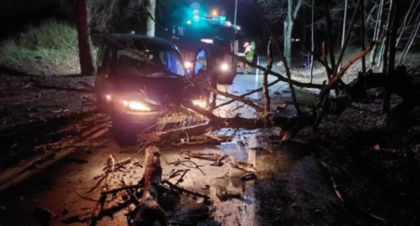 Przed nami najpotężniejsza wichura sezonu - może być bardzo niebezpiecznie!