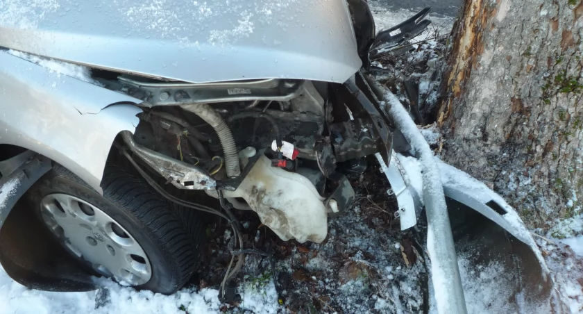 Orle. Uderzyła peugeotem w drzewo - pasażerka trafiła do szpitala