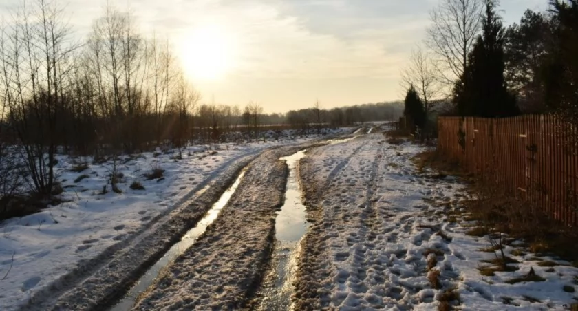 Topienie zimy i bochen darowany ziemi. Czy pierwsza jaskółka wiosny nie czyni?