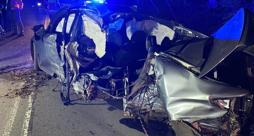 BMW uderzyło w drzewo - kierowca zniknął 