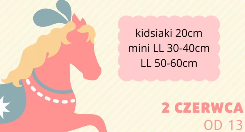 Nowy Klincz. Zawody Hobby Horse