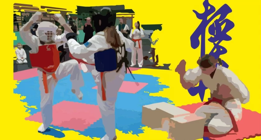 Przodkowo. II Ogólnopolski Turniej Karate i Tameshiwari dla dzieci i młodzieży