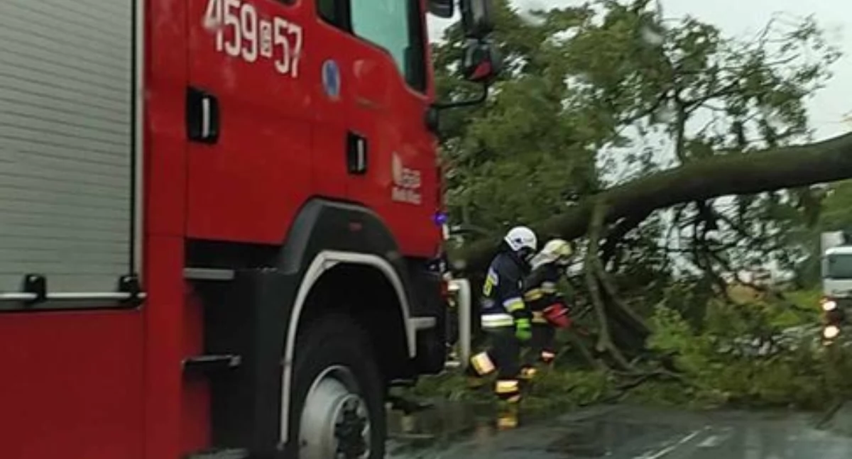 Droga Kościerzyna-Nowa Karczma. Tragedia była blisko