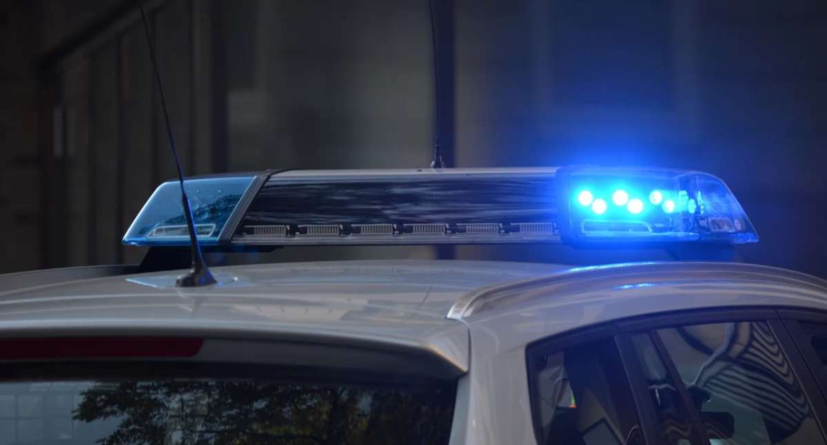 Śmiertelny wypadek z udziałem łosia na krajowej 20