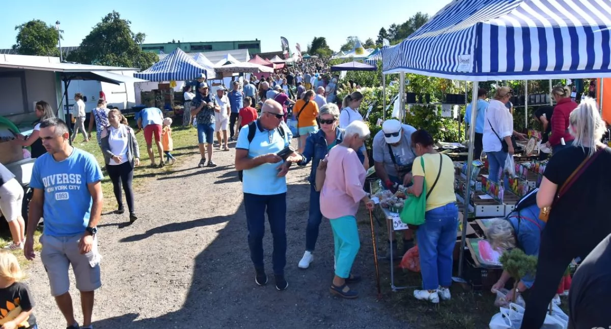 Lubań. XXVI Kaszubska Jesień Rolnicza