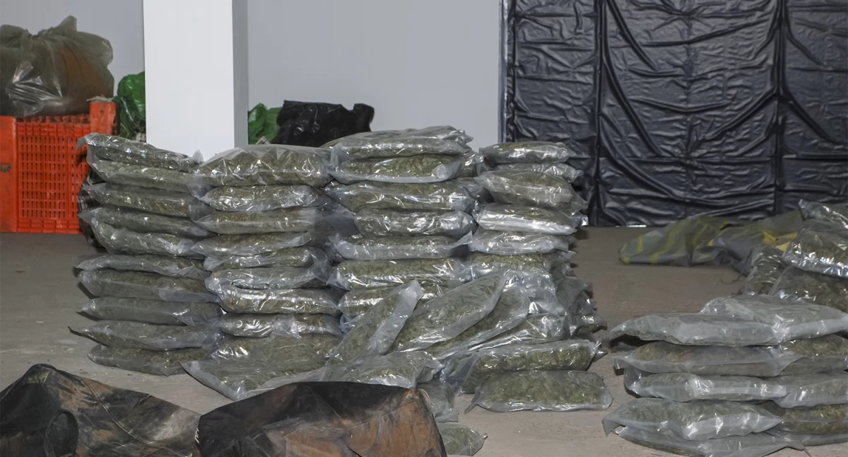 Wielka afera narkotykowa. Przemytnicy działali w Kościerskiej Hucie. 