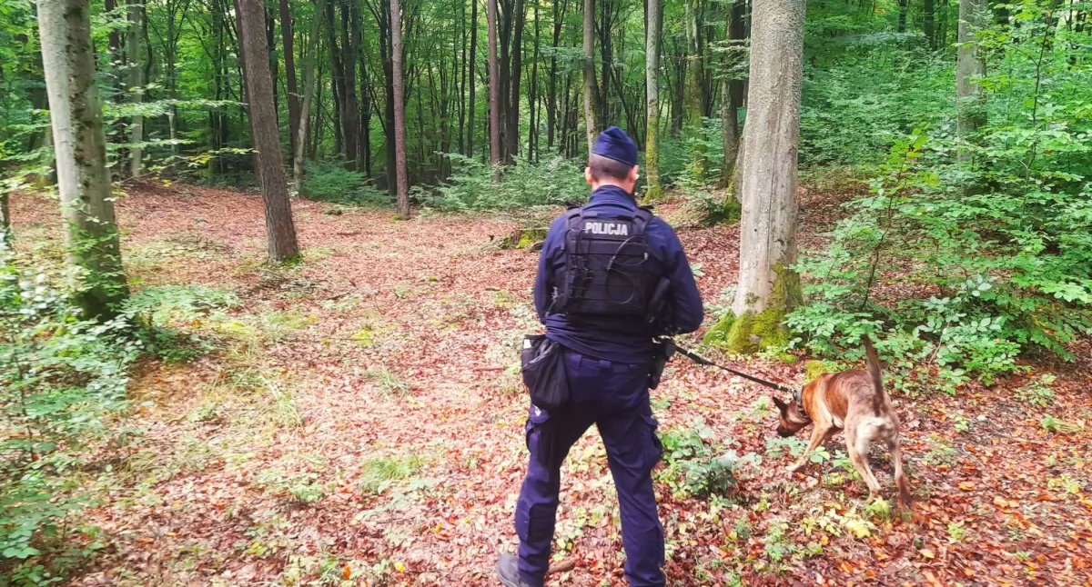 Zaginęła kobieta. W jej poszukiwania zaangażowano psa tropiącego!