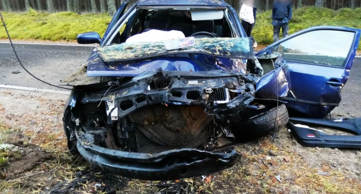 Gołuń. Zjechał na pobocze i uderzył w drzewo