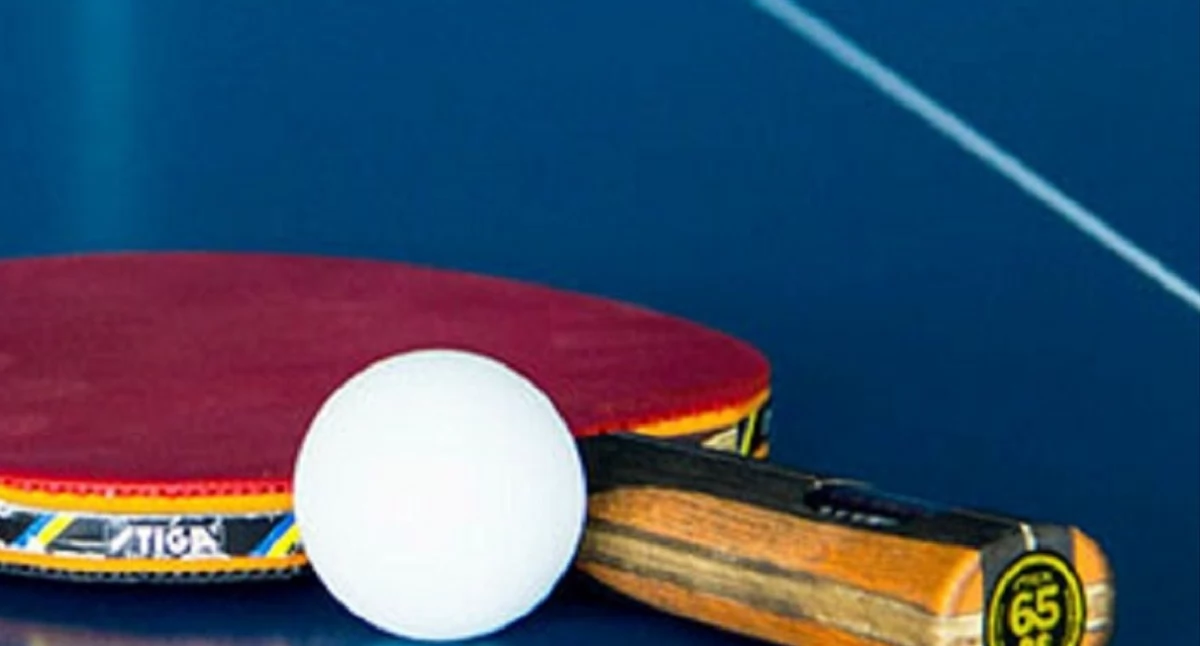 Dziemiany. Turniej tenisa stołowego - młodzi sportowcy w akcji