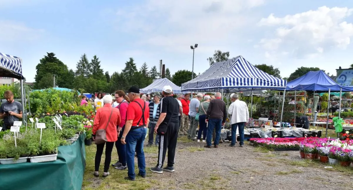 Pomorskie Agro Targi już 7 i 8 czerwca. Lubań zaprasza!