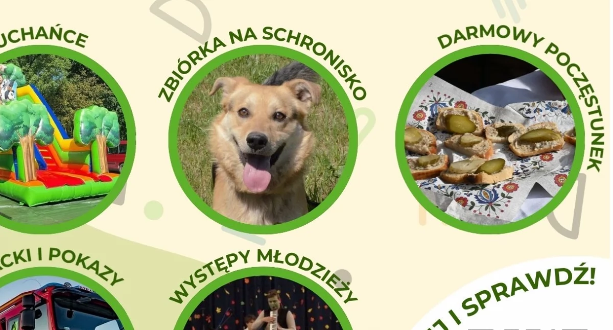 II Kościerskie Spotkanie Rodzinne. Rozrywka i szczytny cel