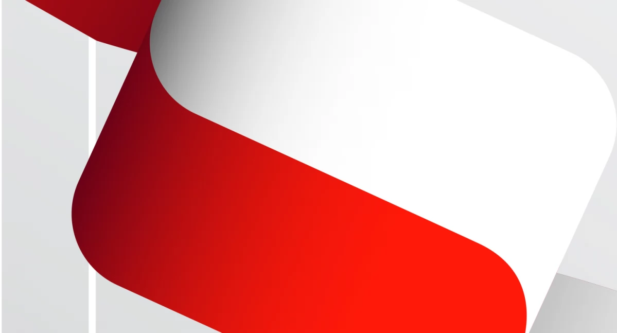 Obchody Narodowego Święta Niepodległości w Karsinie