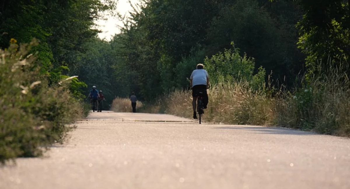 Ścieżki rowerowe do Wdzydz i Wielkiego Klincza. Inwestycja wchodzi w decydującą fazę!