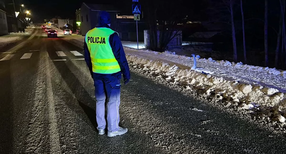Policjanci ratowali rannego łabędzia!