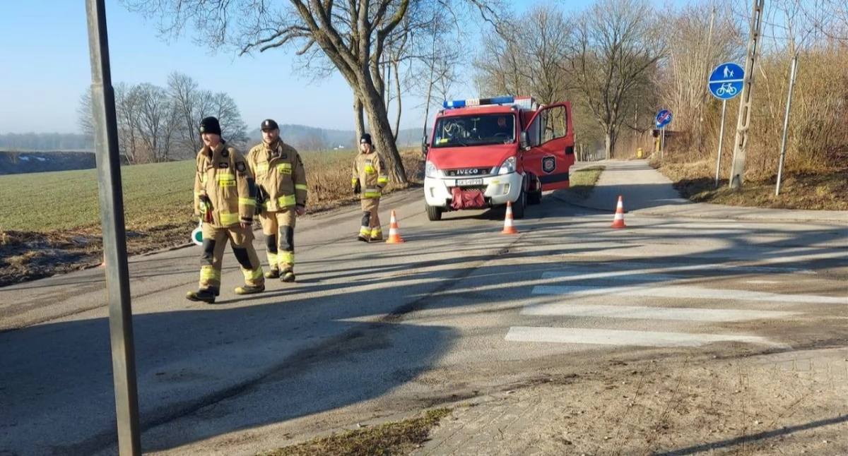 Droga Puc-Śledziowa Huta zablokowana. Nieznani sprawcy ponacinali przydrożne drzewa!