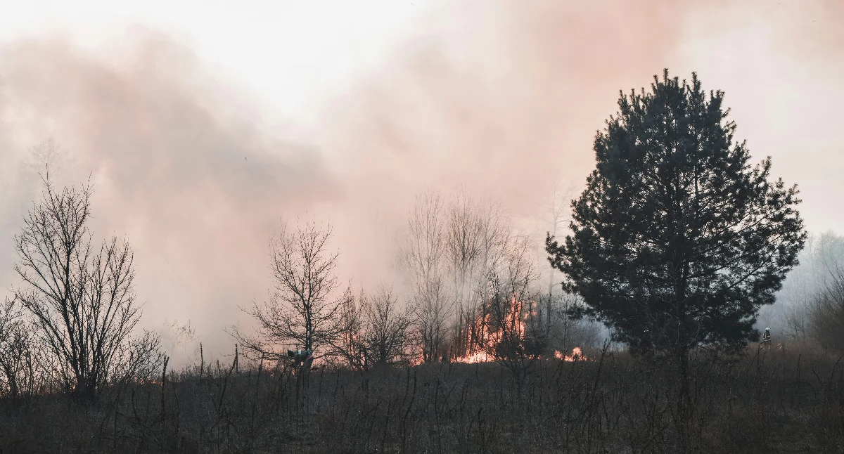 Pożar lasu w Rybakach. Strażacy walczyli z ogniem w nocy