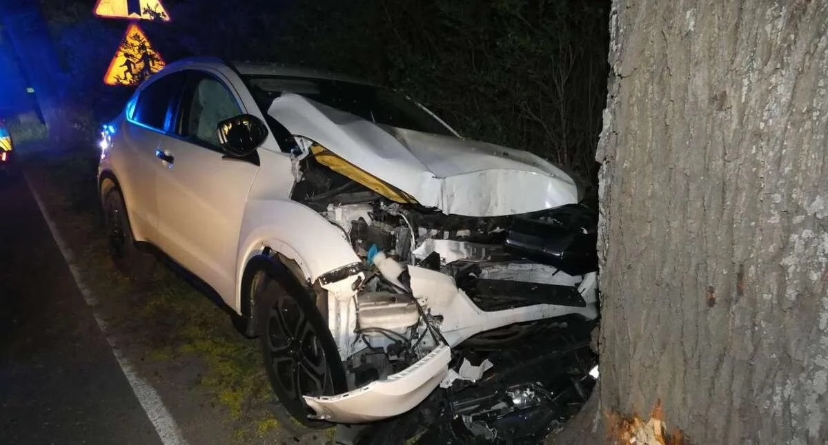 Wypadek na drodze nr 214. Dwie osoby w szpitalu!