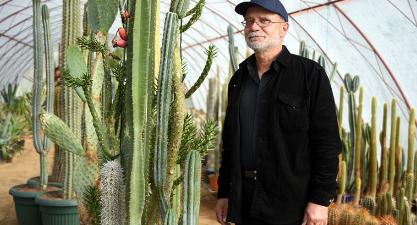 Kolekcjoner kaktusów szuka domu dla swojego zbioru