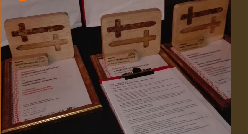 Zgłoś swoją organizację i weź udział w jubileuszowej 25. edycji Nagrody Bursztynowego Mieczyka!