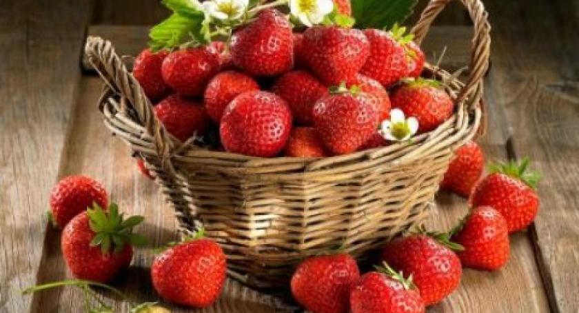 Kaszubska truskawka walczy o tytuł Produktu Roku. Zagłosuj i zgarnij nagrodę!