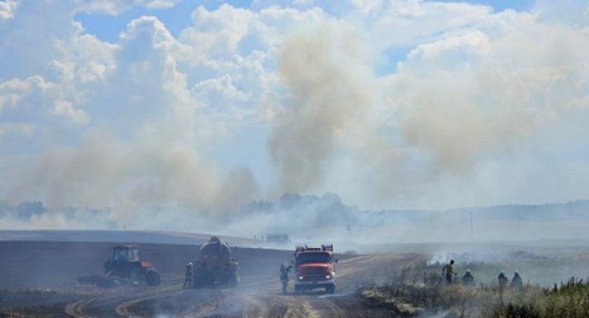 Garczyn. Ogień strawił 30 hektarów pola