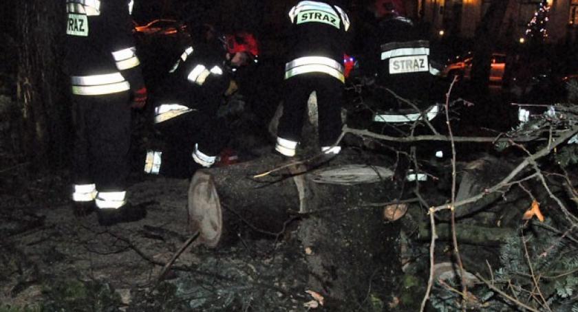 Niemal 90 strażackich interwencji w związku z wichurą 