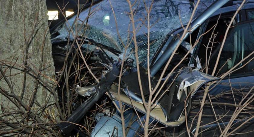 Iłownica. Citroen uderzył w drzewo - nie żyje półroczne dziecko