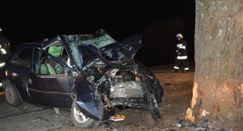 Lubieszyn. Opel rozbił się na drzewie