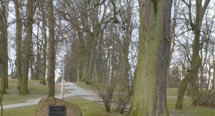Pomóż w upiększeniu kościerskiego Parku Miejskiego!