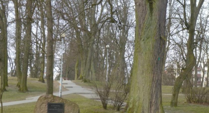 Ostatnia prosta do upiększenia kościerskiego Parku. Zagłosuj!