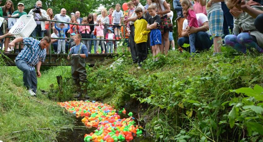 Kościerzyna. Duck Race, czyli  wyścig gumowych kaczek po raz trzeci