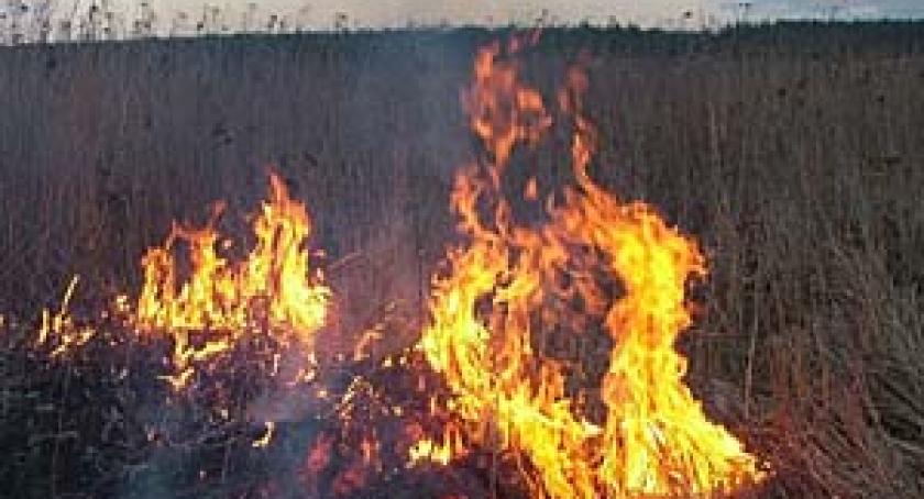 Dwukrotnie paliła się trawa w Konarzynach 
