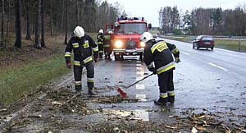 Drzewo zablokowało szlak komunikacyjny 