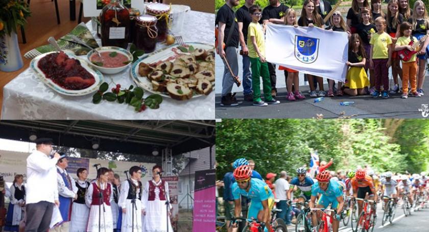 Kościerzyna. Festiwal Żurawiny już w piątek
