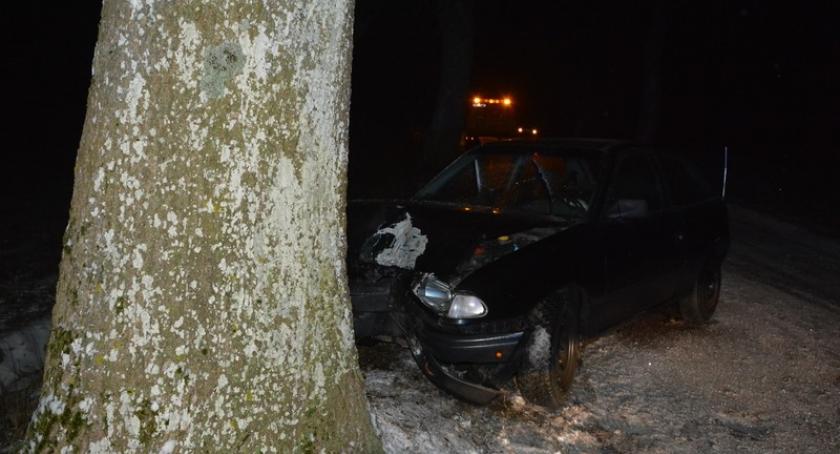 Guzy. Opel uderzył w drzewo - dwie osoby w szpitalu 