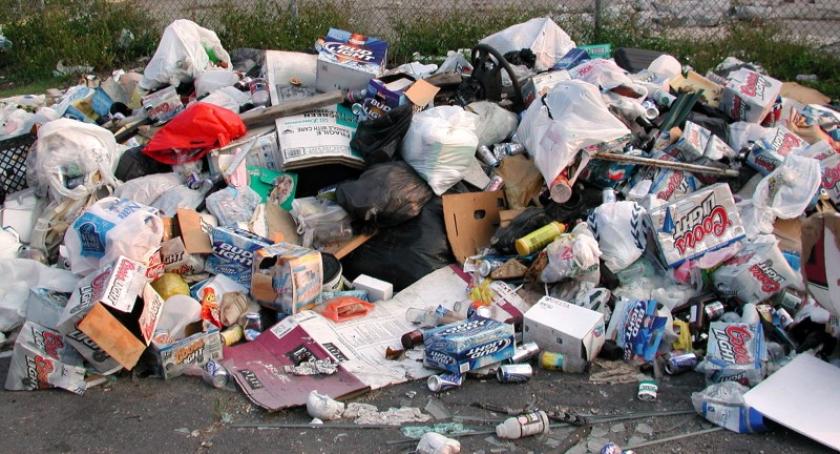 Kościerzyna i Liniewo - kolejne gminy, które rozważą wyjście z ZG Wierzyca