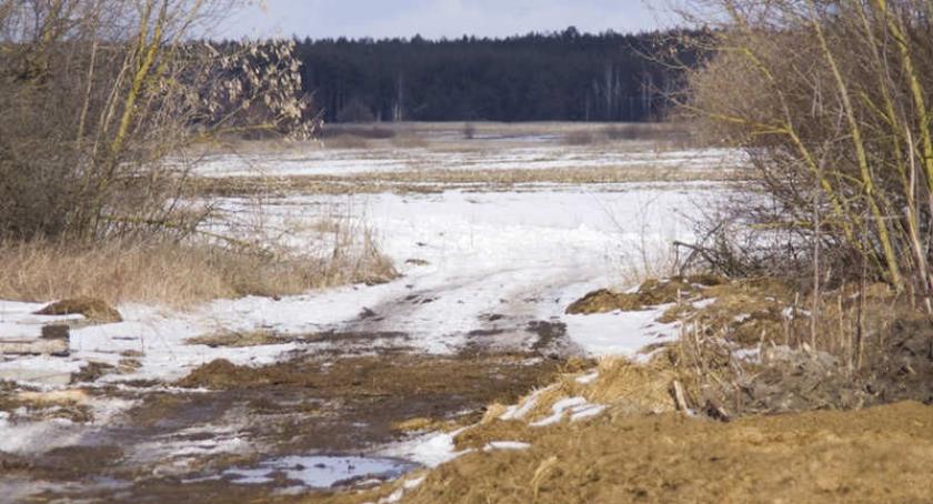 Powiat. Mróz i brak śniegu wywołały spore straty w rolnictwie