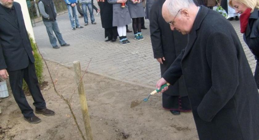 Dąb pamięci asp. Wiktora Bereszyńskiego