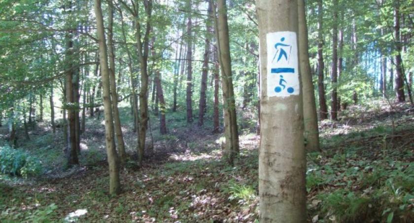 Rowerem z Kościerzyny do Garczyna