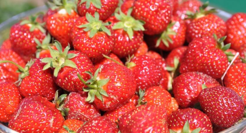 Truskawkobranie już w ten weekend! Zagrają takie gwiazdy jak Danzel i Piersi